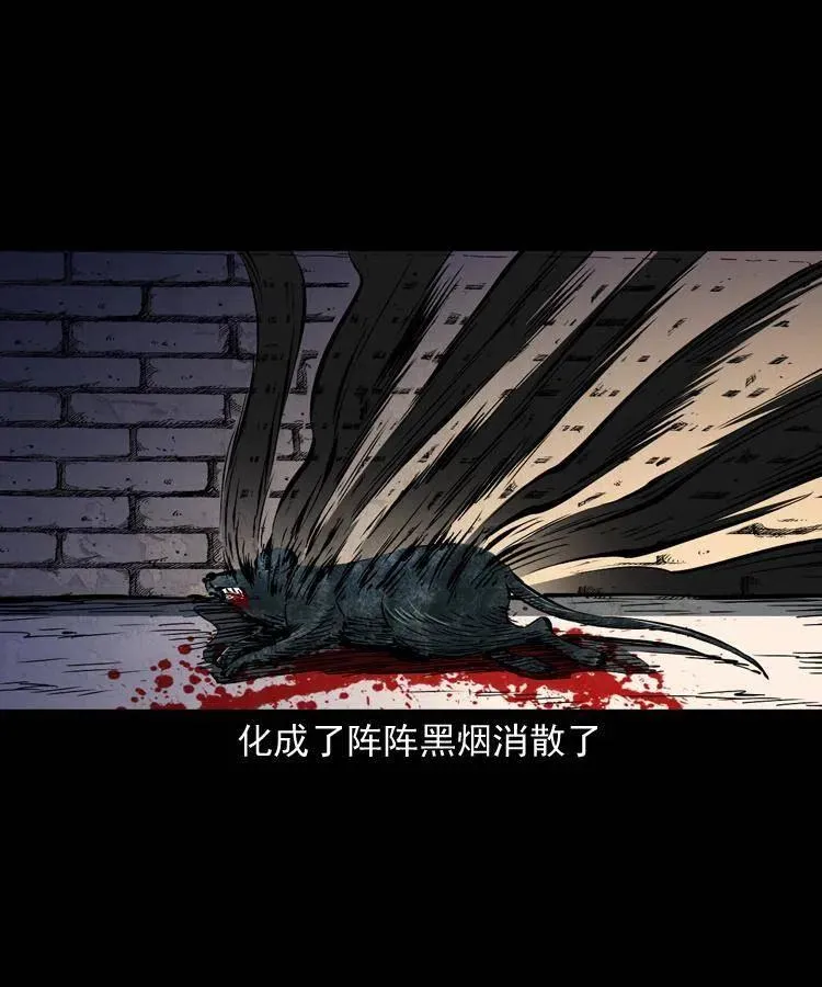 一百三十四话 百猫图 第56页