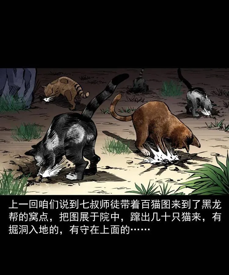 一百三十五话 百猫伏鼠 第2页