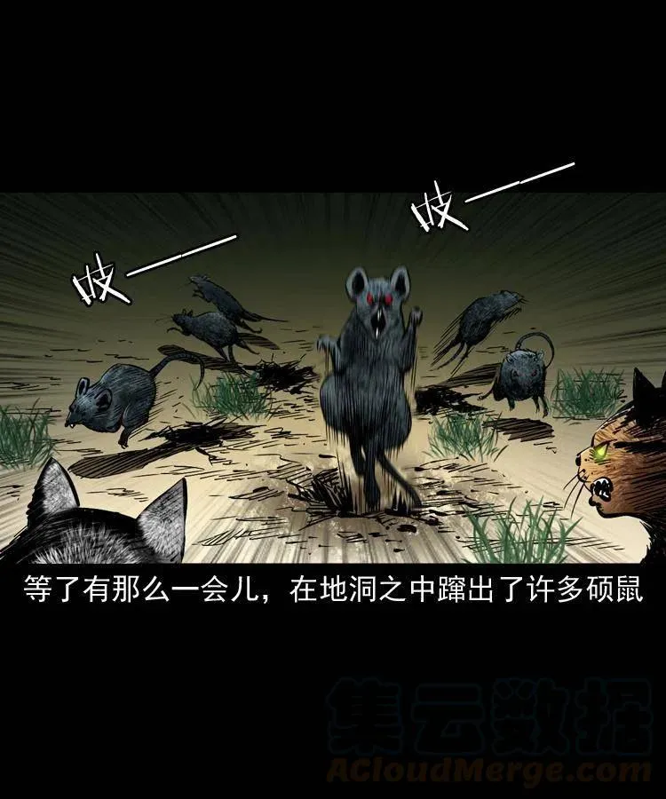 一百三十五话 百猫伏鼠 第4页
