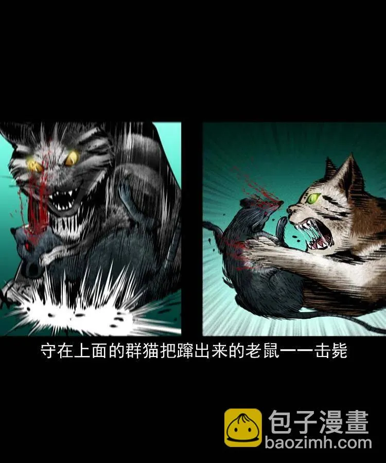 一百三十五话 百猫伏鼠 第5页