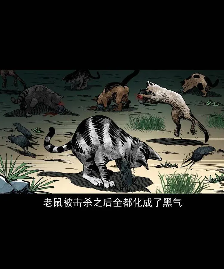 一百三十五话 百猫伏鼠 第6页