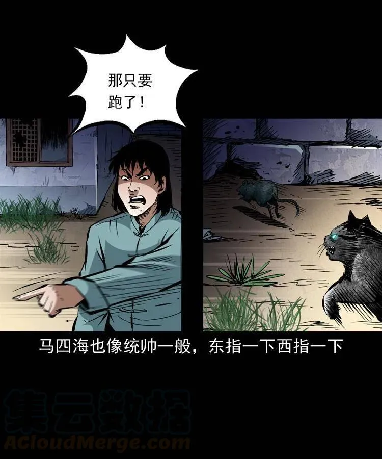 一百三十五话 百猫伏鼠 第7页