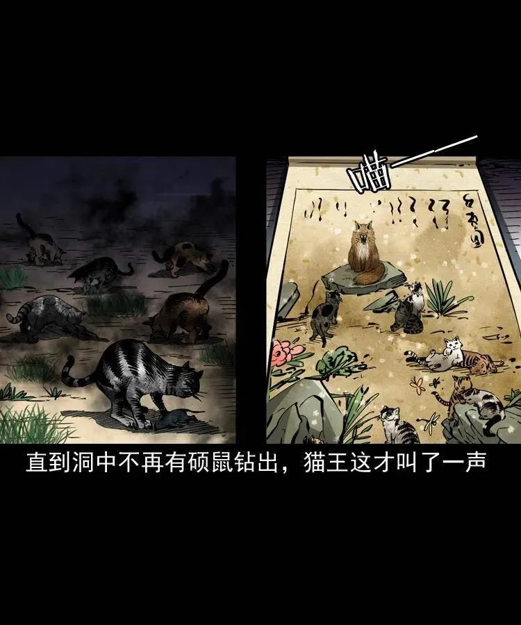 一百三十五话 百猫伏鼠 第9页