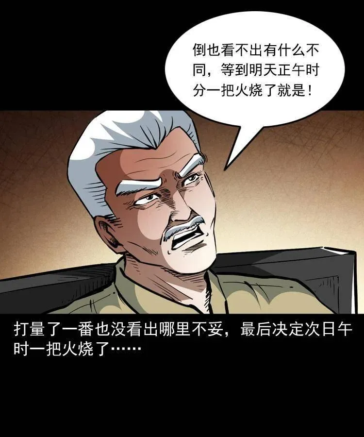 一百三十六话 义庄尸变 第29页