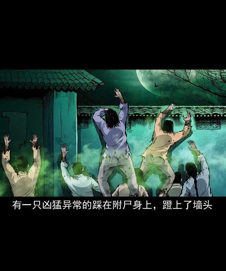 一百三十七话 寻镜降尸 第50页