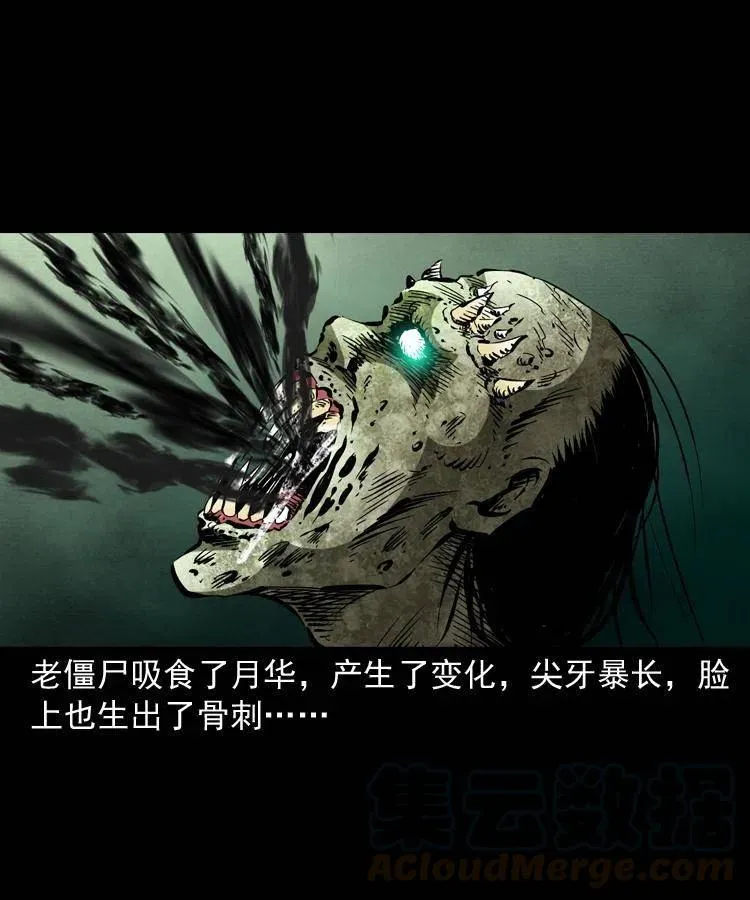 一百三十八话 收大粽 第10页