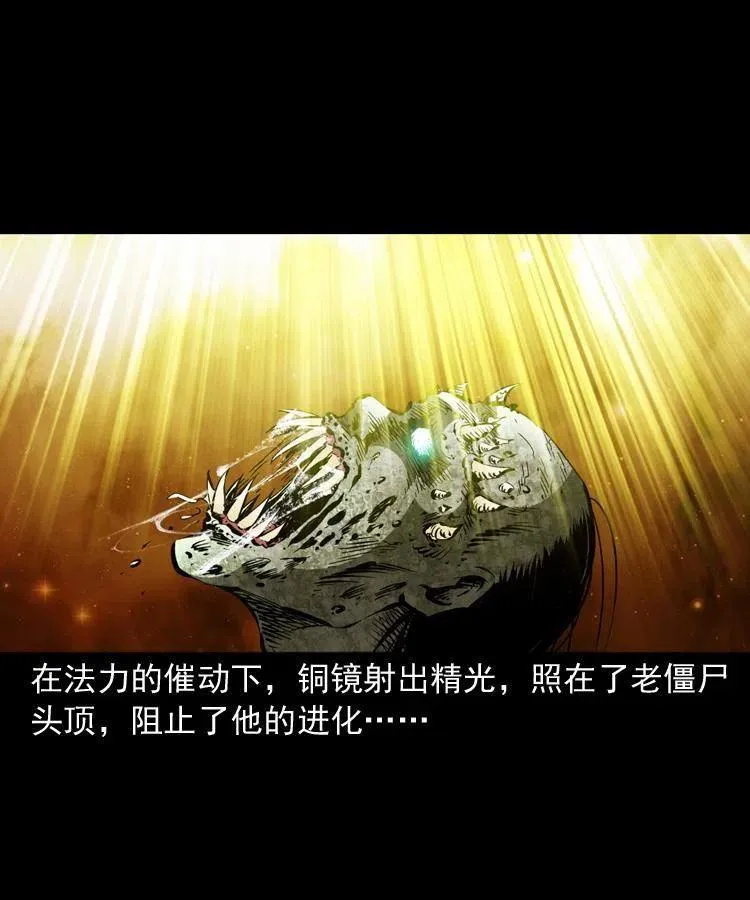 一百三十八话 收大粽 第15页