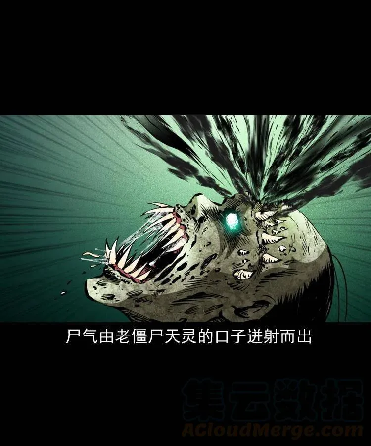 一百三十八话 收大粽 第34页