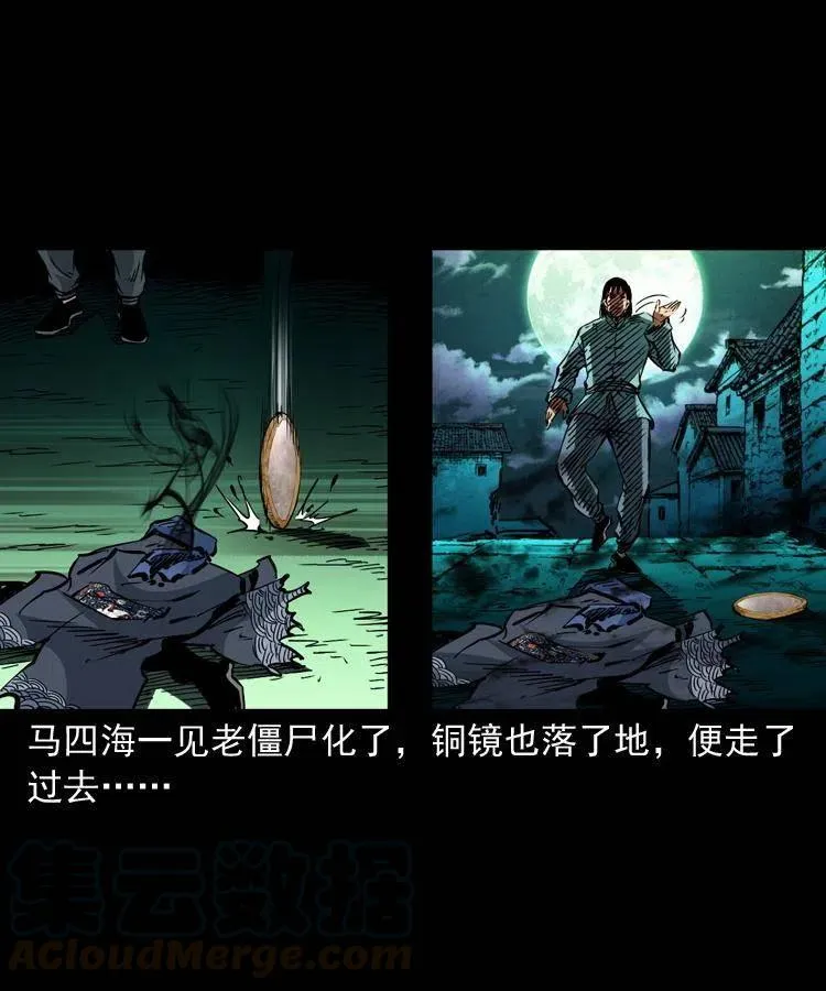 一百三十八话 收大粽 第37页