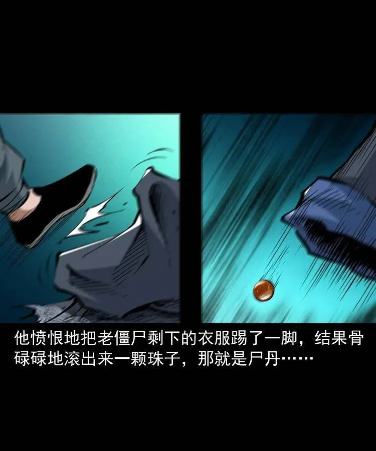 一百三十八话 收大粽 第39页