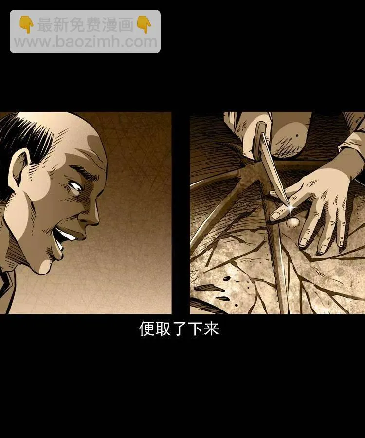一百四十一话 破茧而出 第33页