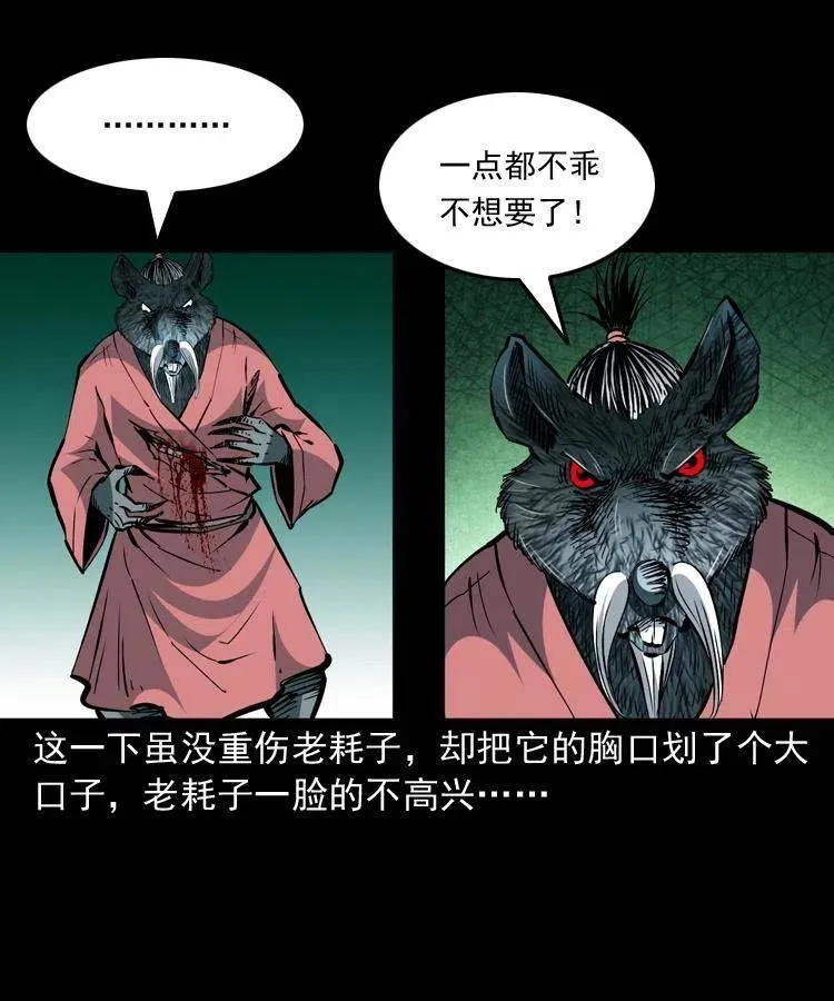 一百四十四话 老耗子 第17页