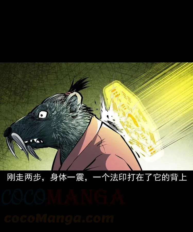一百四十四话 老耗子 第37页