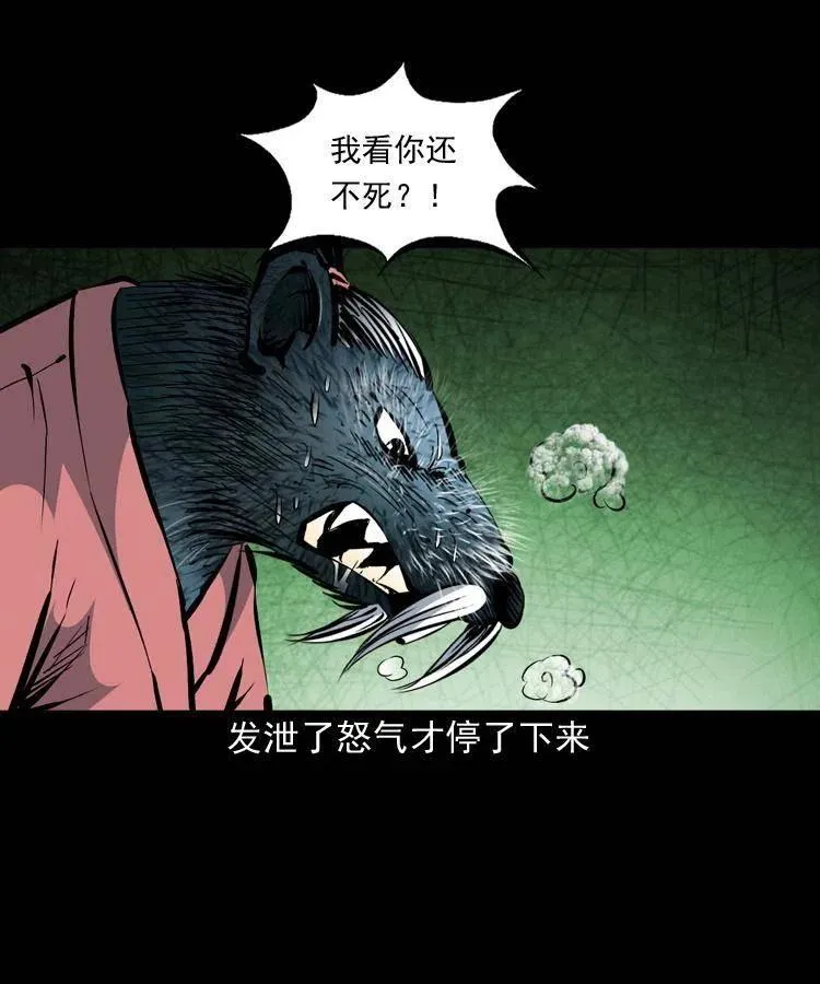 一百四十四话 老耗子 第47页