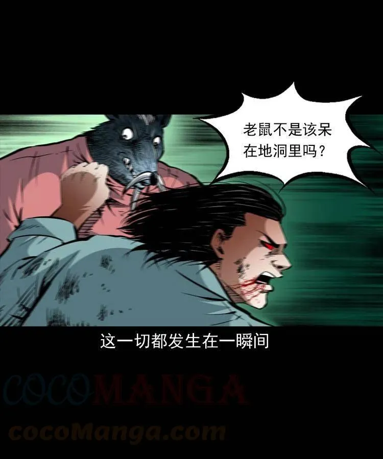 一百四十四话 老耗子 第58页