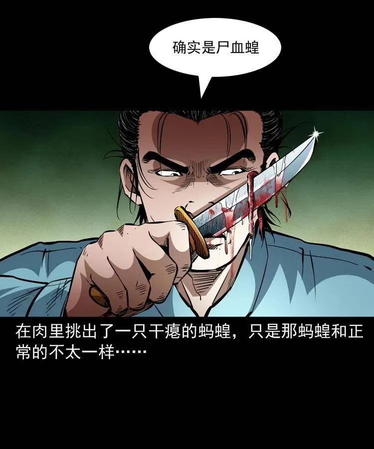 一百四十六话 白发阎罗 第48页