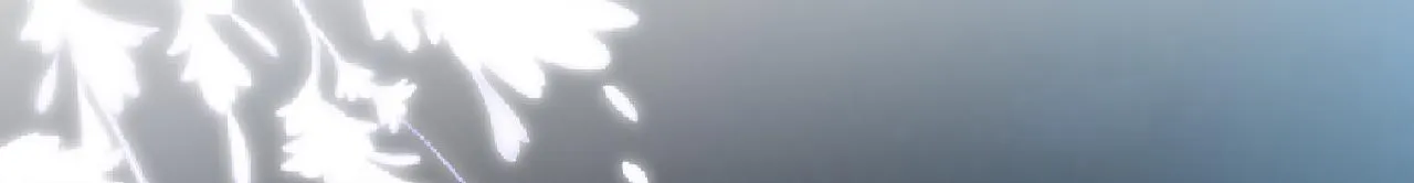 第139 回老家 第14页