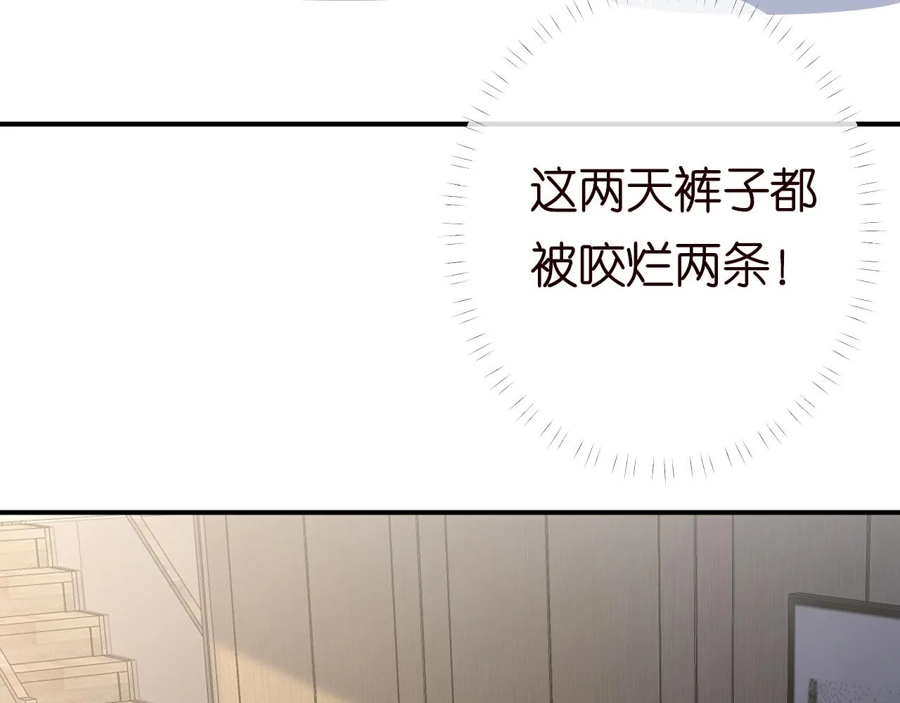 第150 二哥与狗 第31页