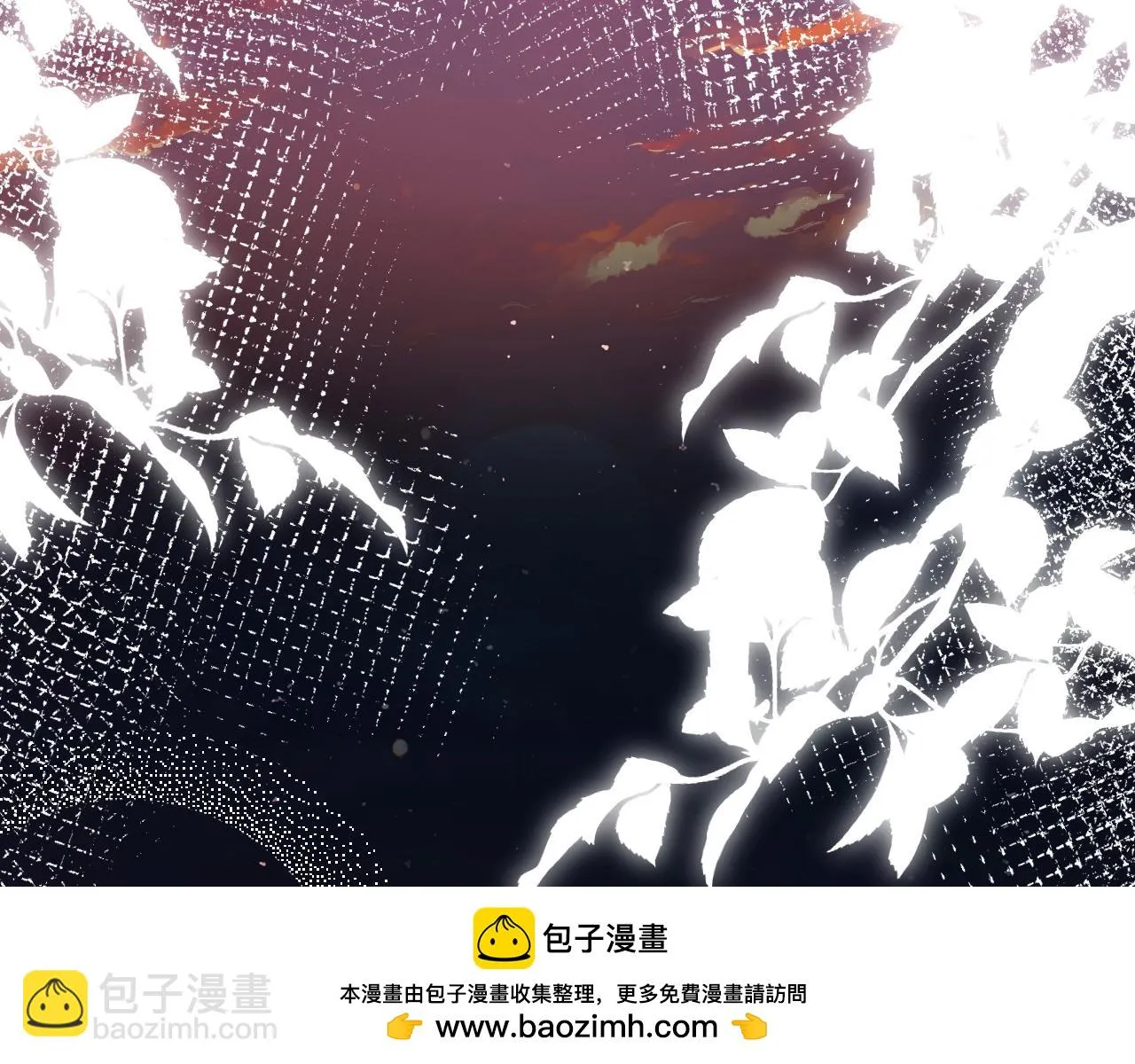 第152 幸运粉丝 第50页