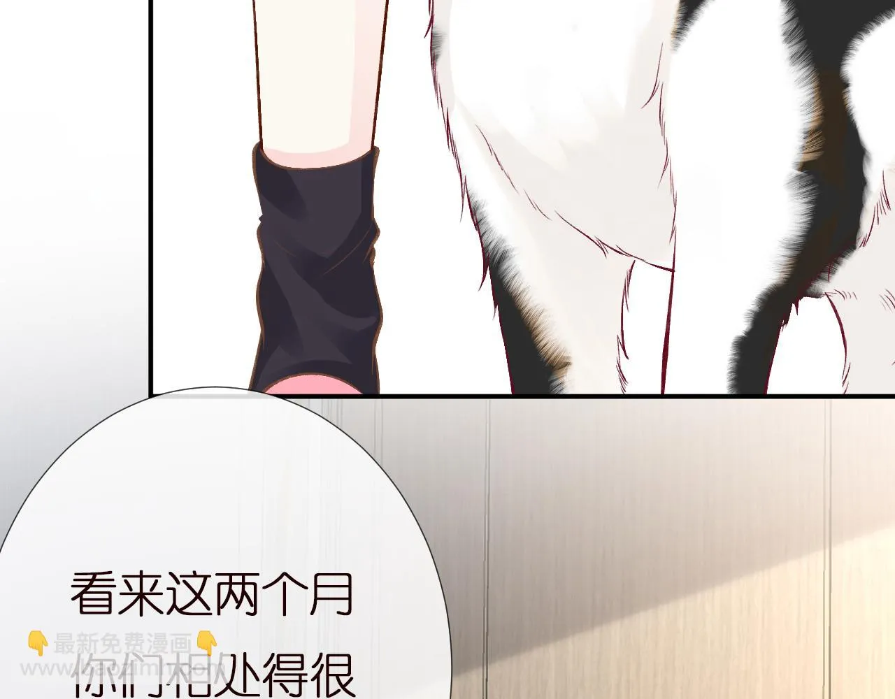 第151 高考 第13页