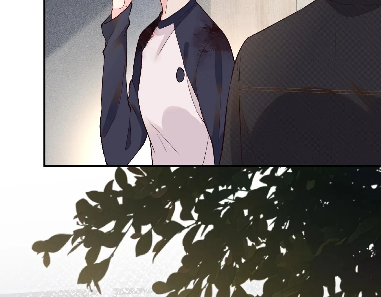 第210 她到底是谁？ 第81页