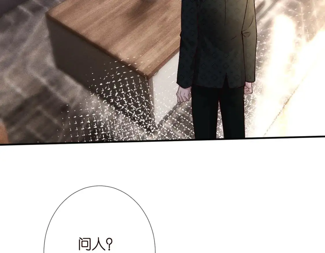 第267 这一票，我投他 第11页
