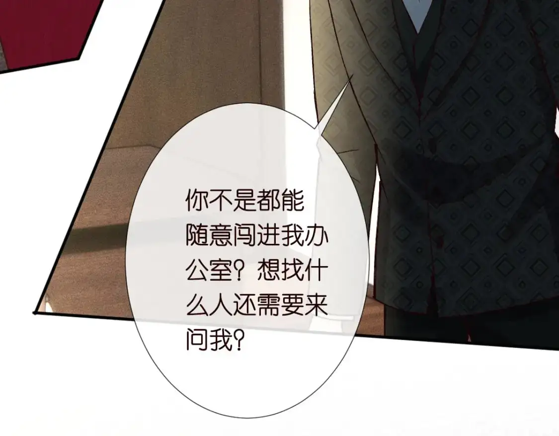 第267 这一票，我投他 第17页