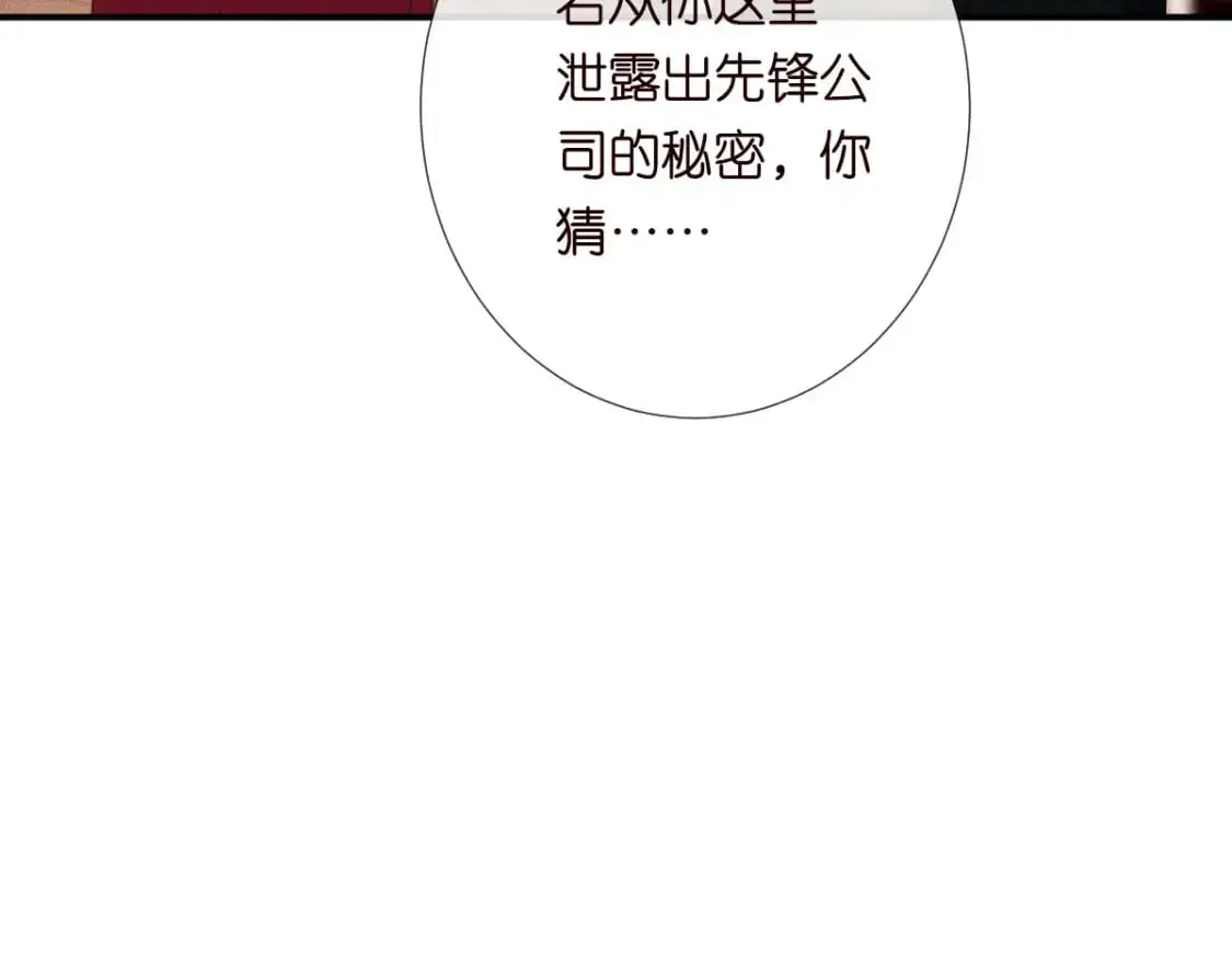 第267 这一票，我投他 第25页