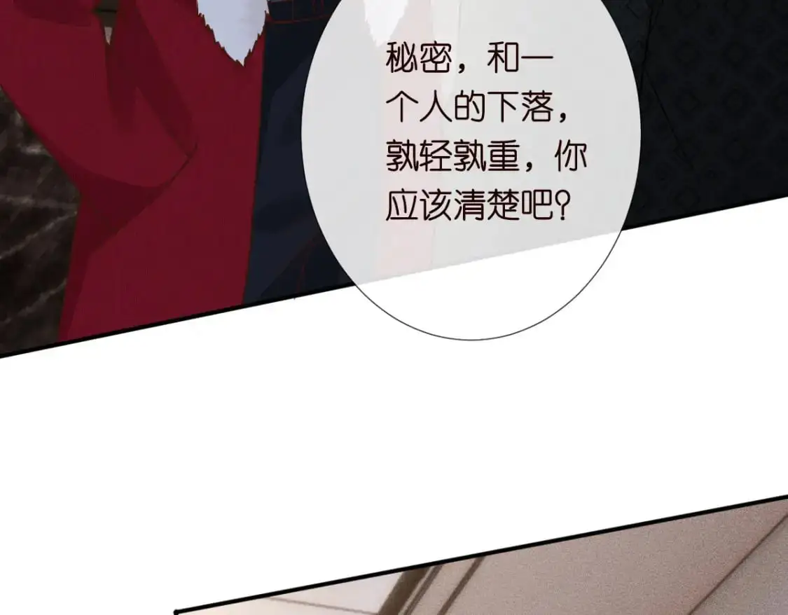 第267 这一票，我投他 第29页