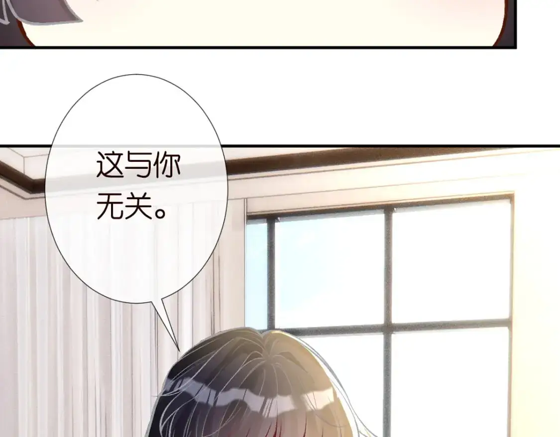 第267 这一票，我投他 第38页
