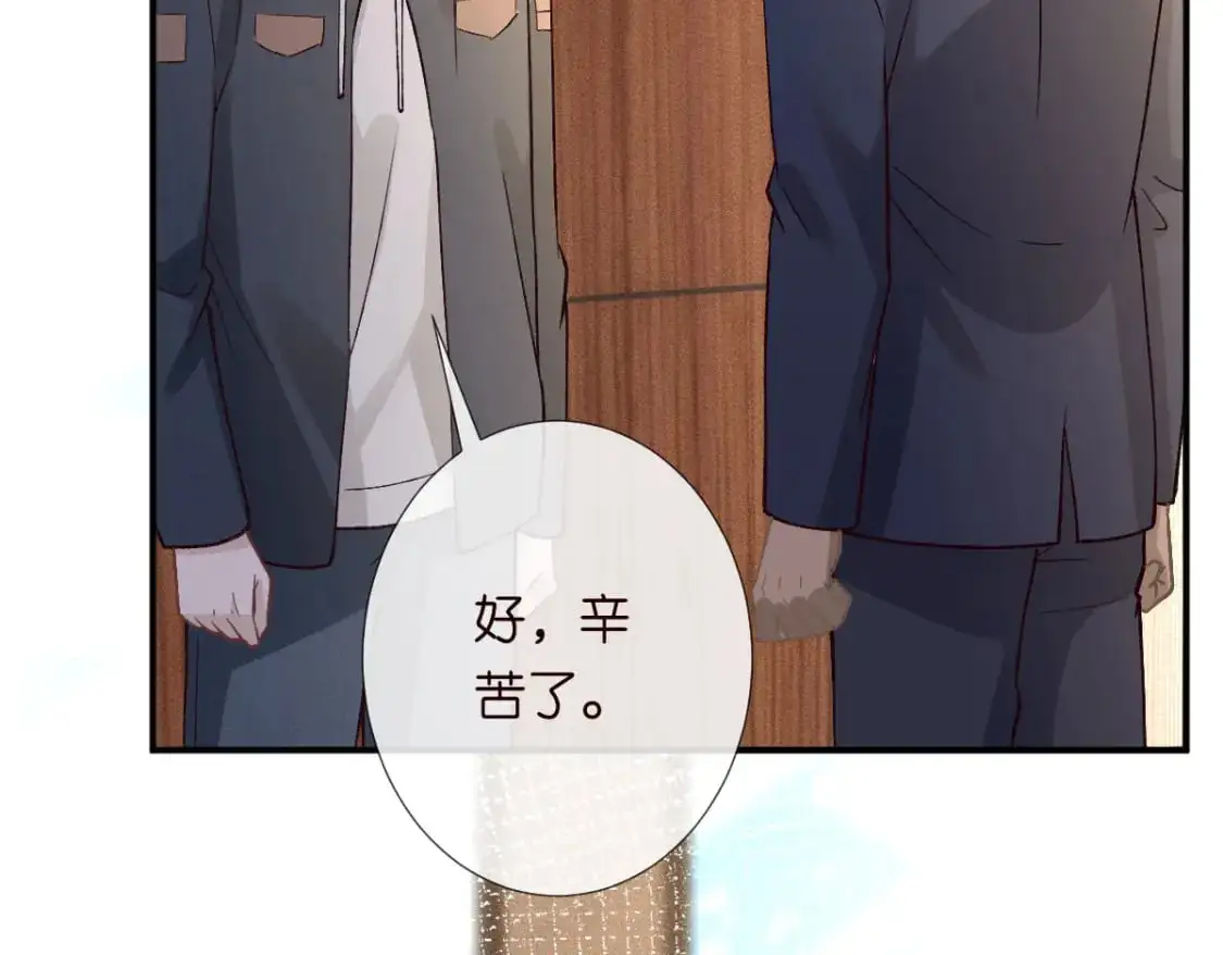 第267 这一票，我投他 第79页