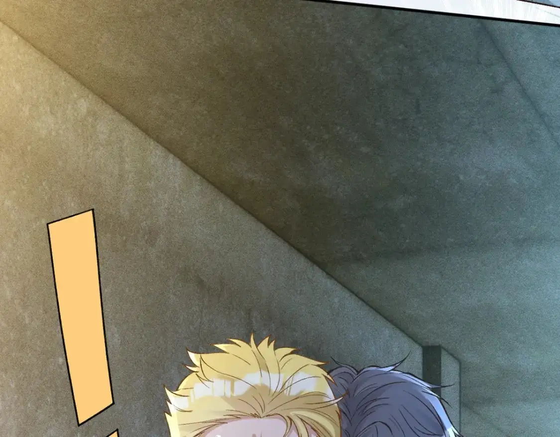 第271 护夫狂魔上线 第53页