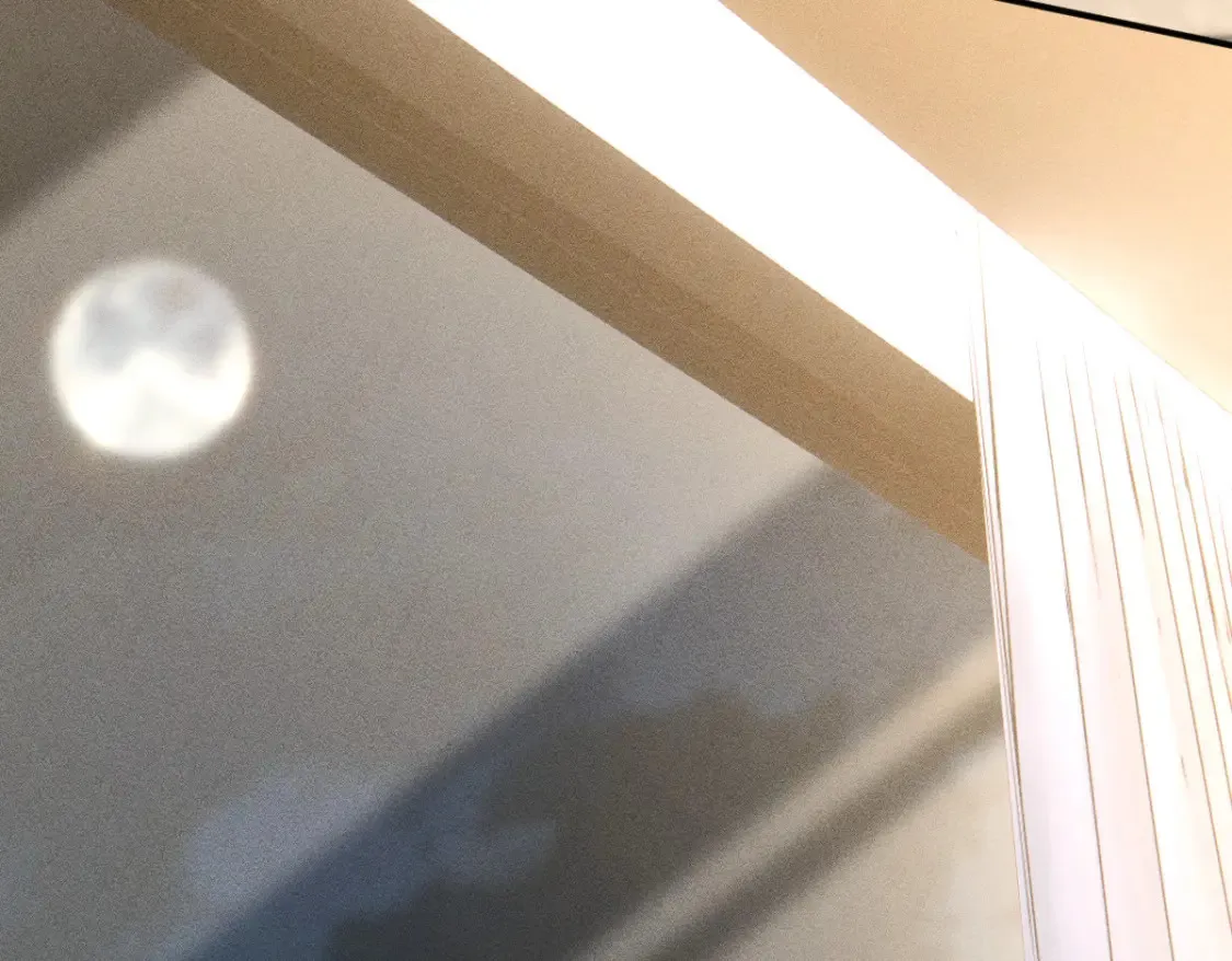 第284 哄小肥羊 第35页