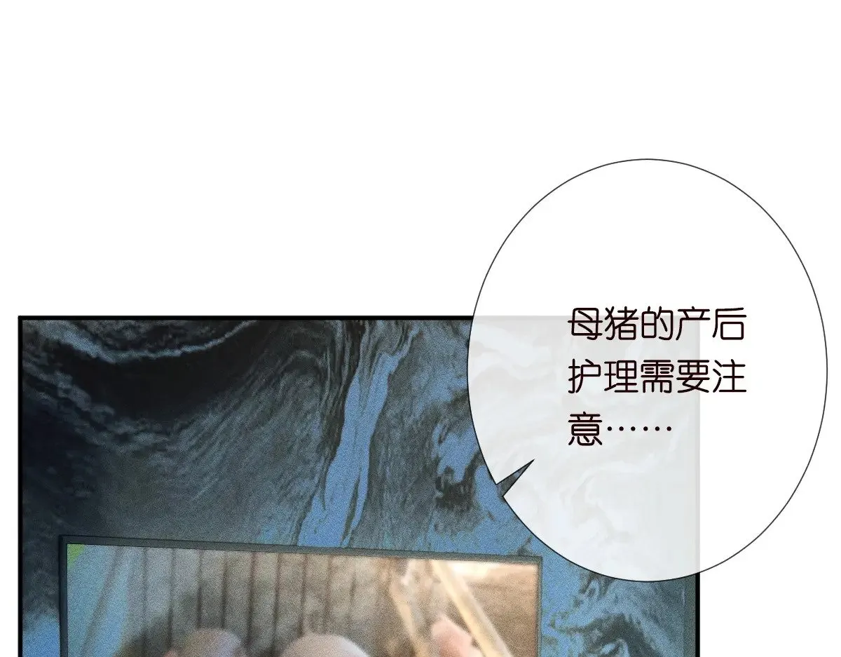 第307 他身上的香水味 第71页
