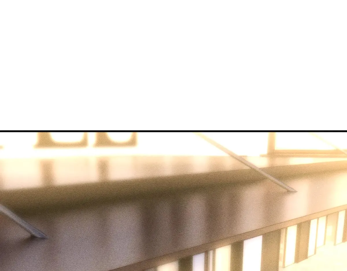 第319 撮合 第17页