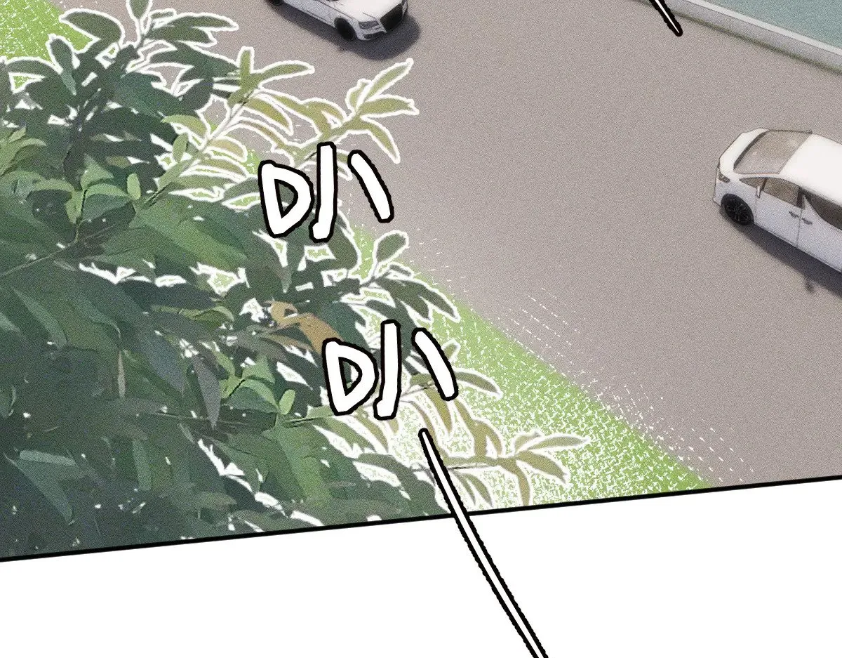 第319 撮合 第97页