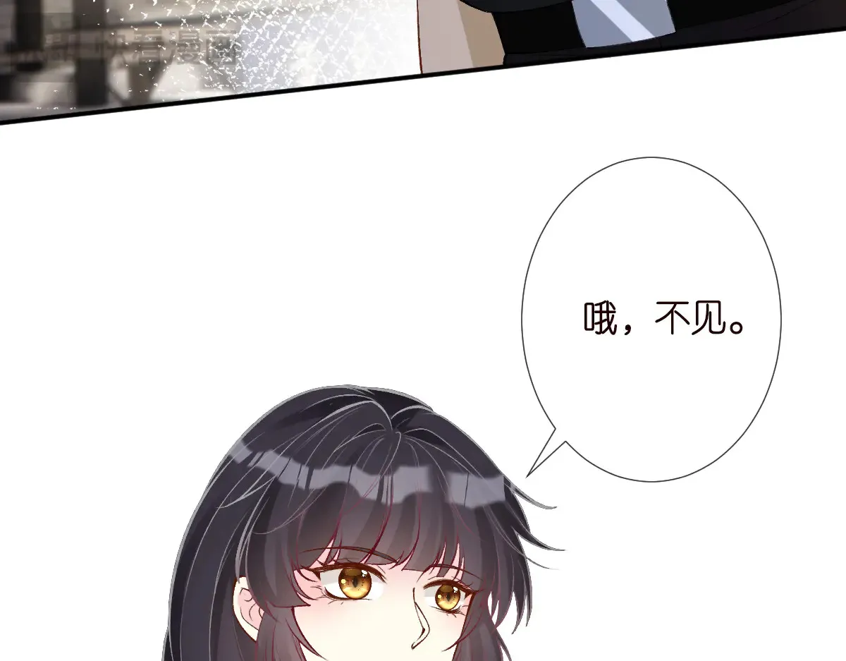 第321 暴走的霍杳 第40页