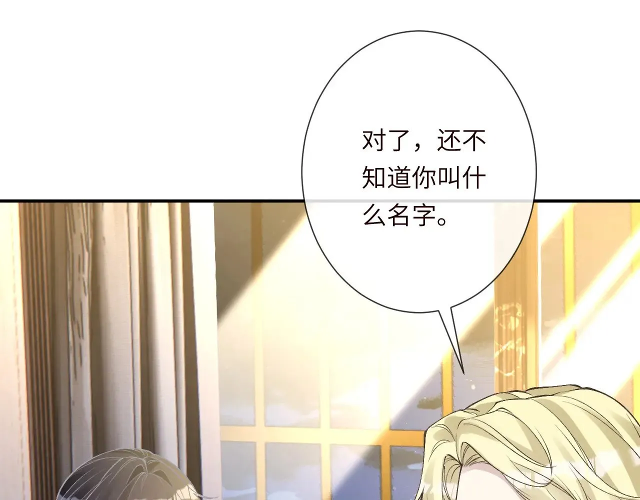 第333 超级杀手 第51页