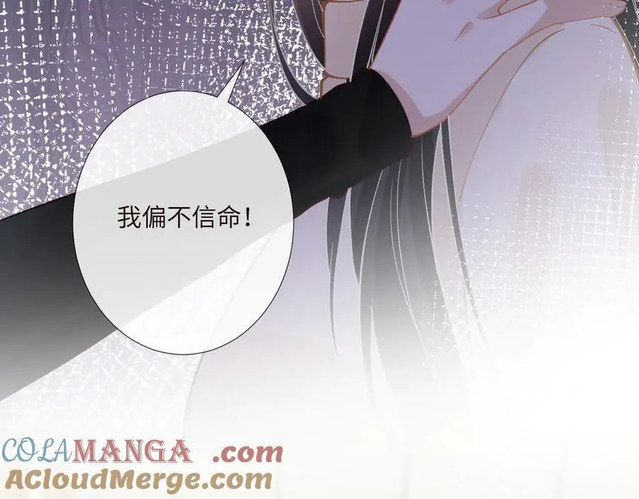 第350 霍晚樱的条件 第19页