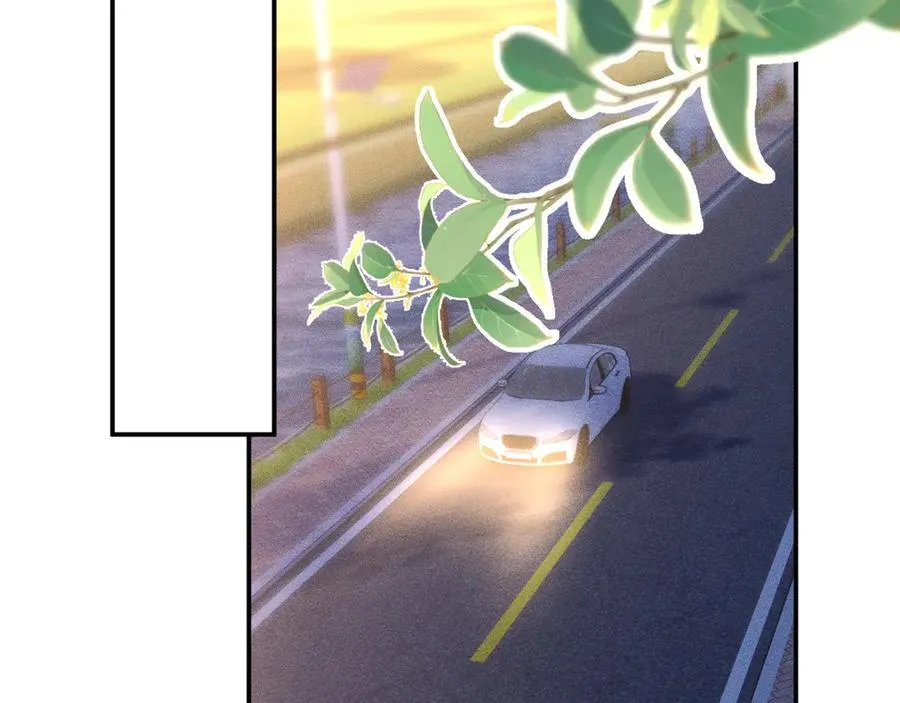 第350 霍晚樱的条件 第66页