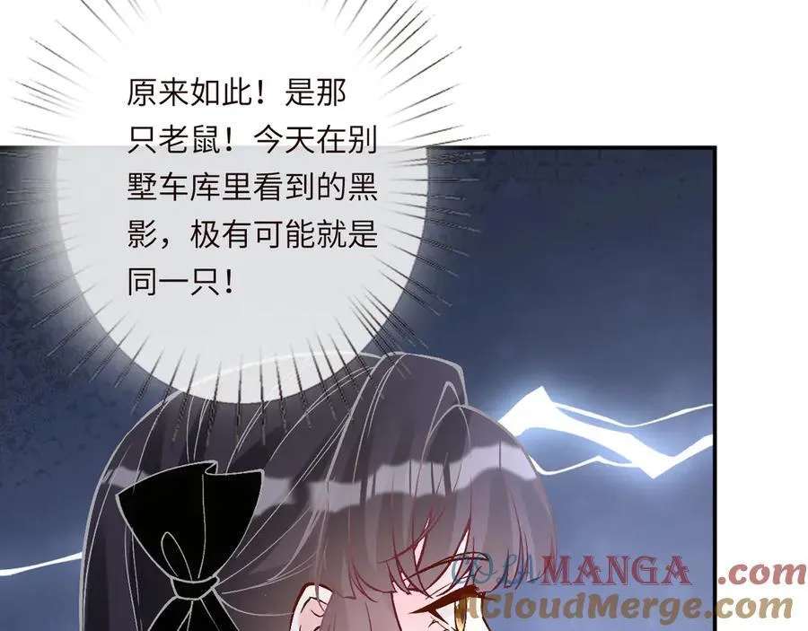 第362 盛会长的隐藏身份 第37页