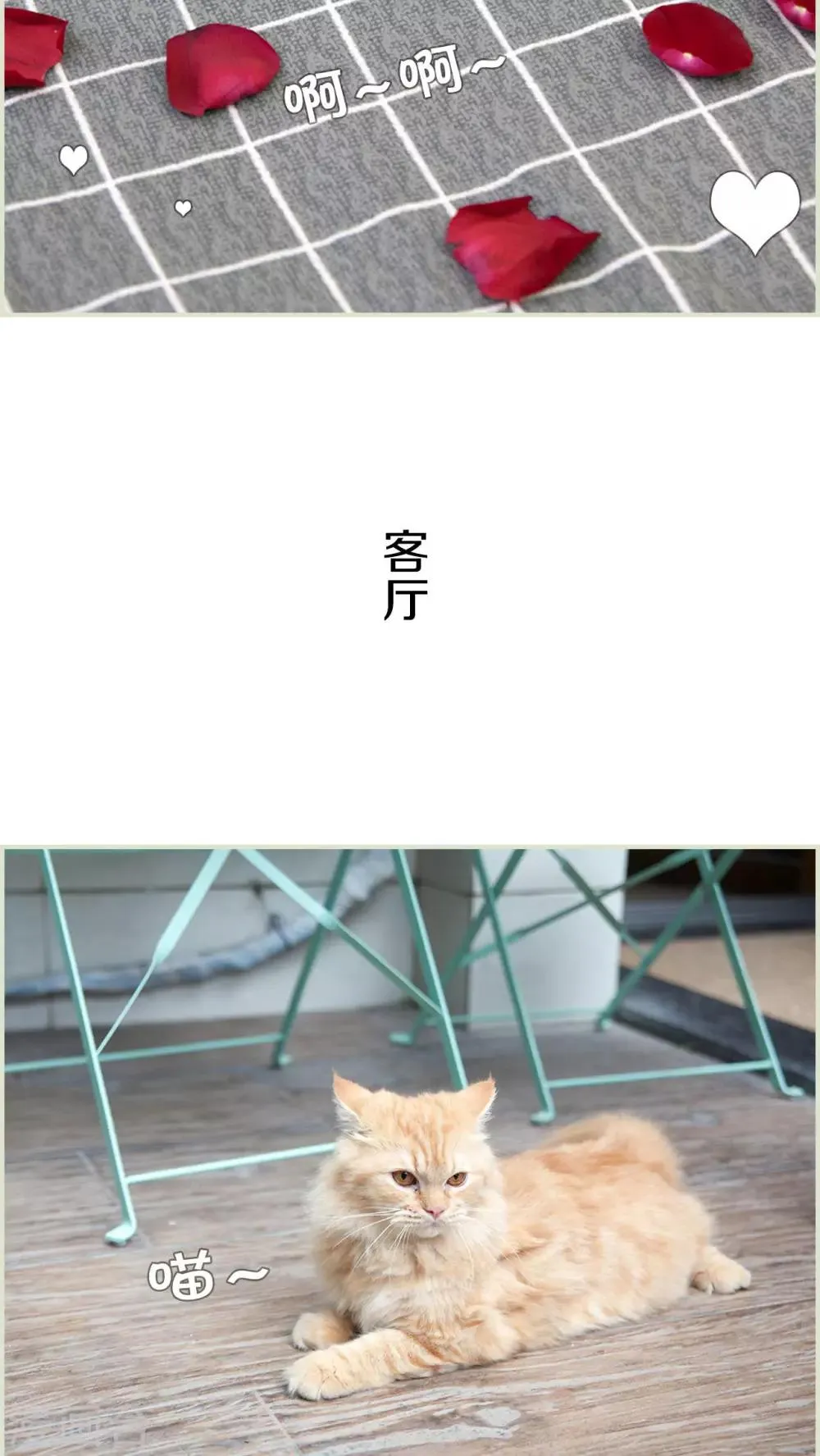 第49话 第12页