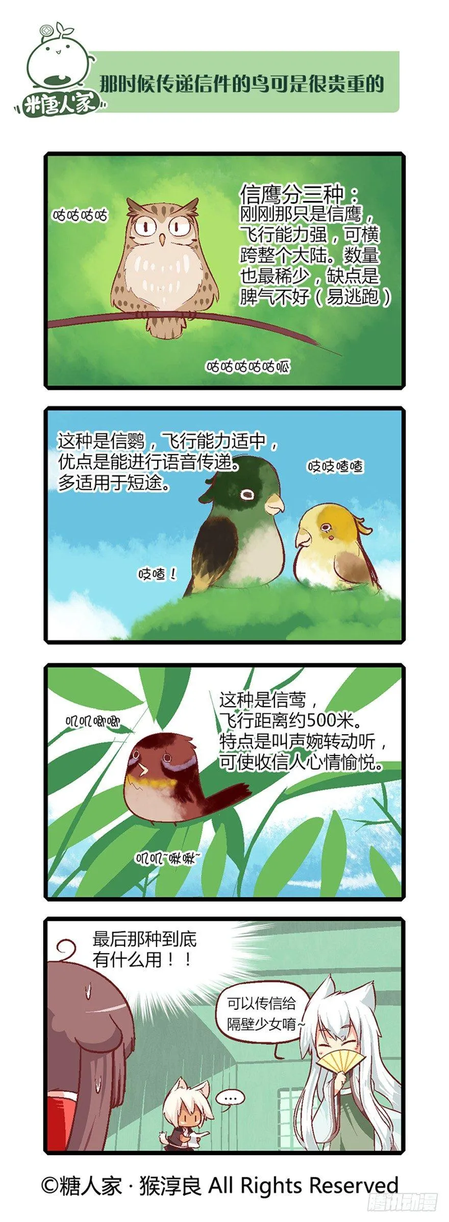 11.新手入城！ 第5页