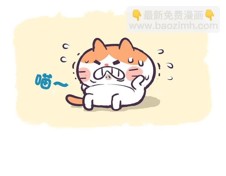 第36话 喵不可貌相 第4页