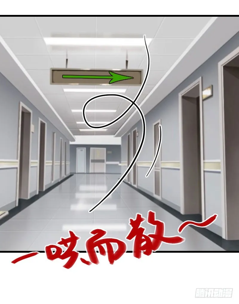 第72话 我的地盘 第17页