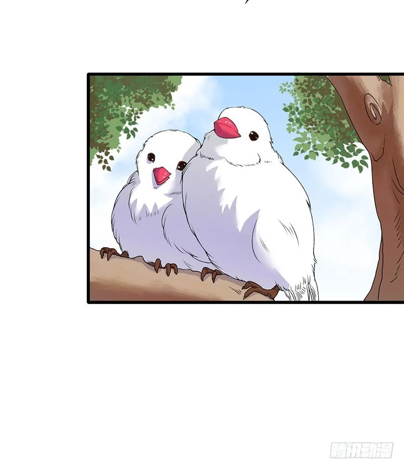 第33话这算哪门子考察？ 第15页