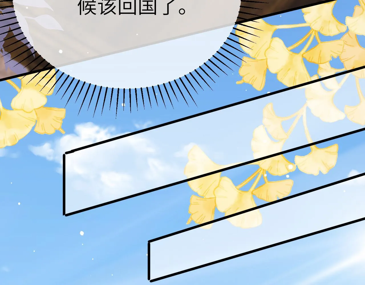 31 综艺 第24页