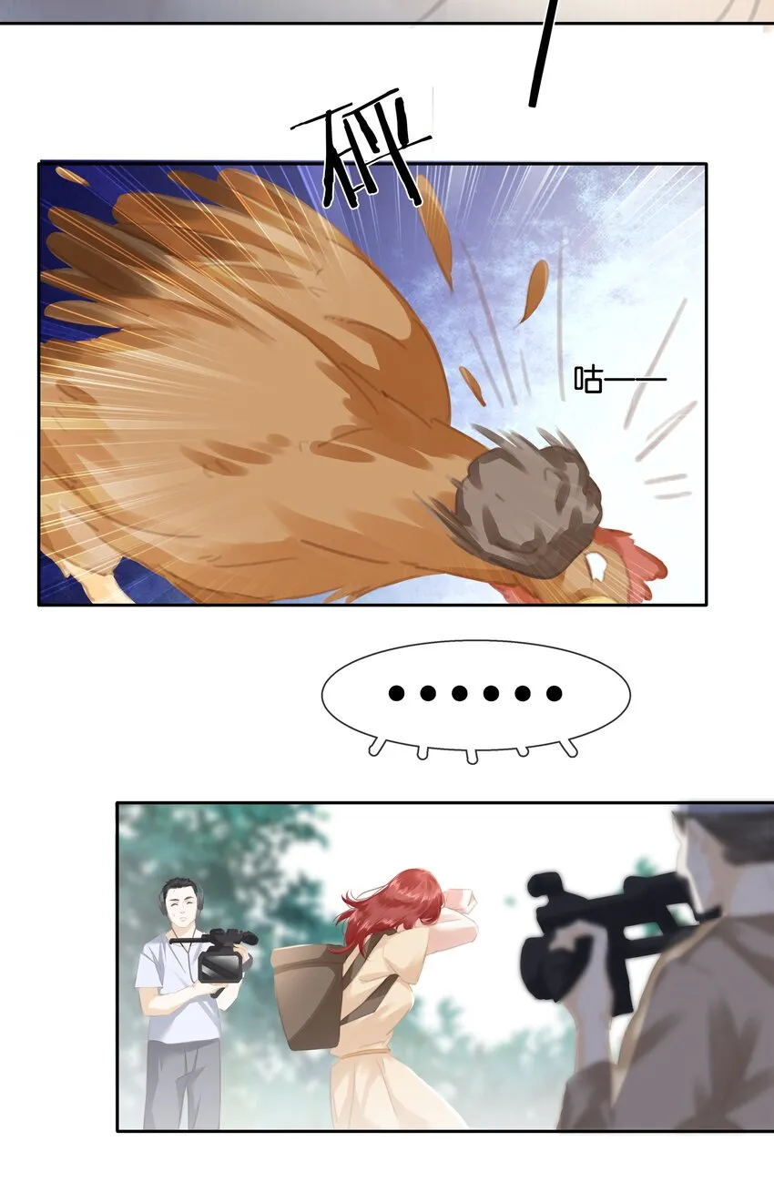 080 陈亿，我怕鸡！ 第13页