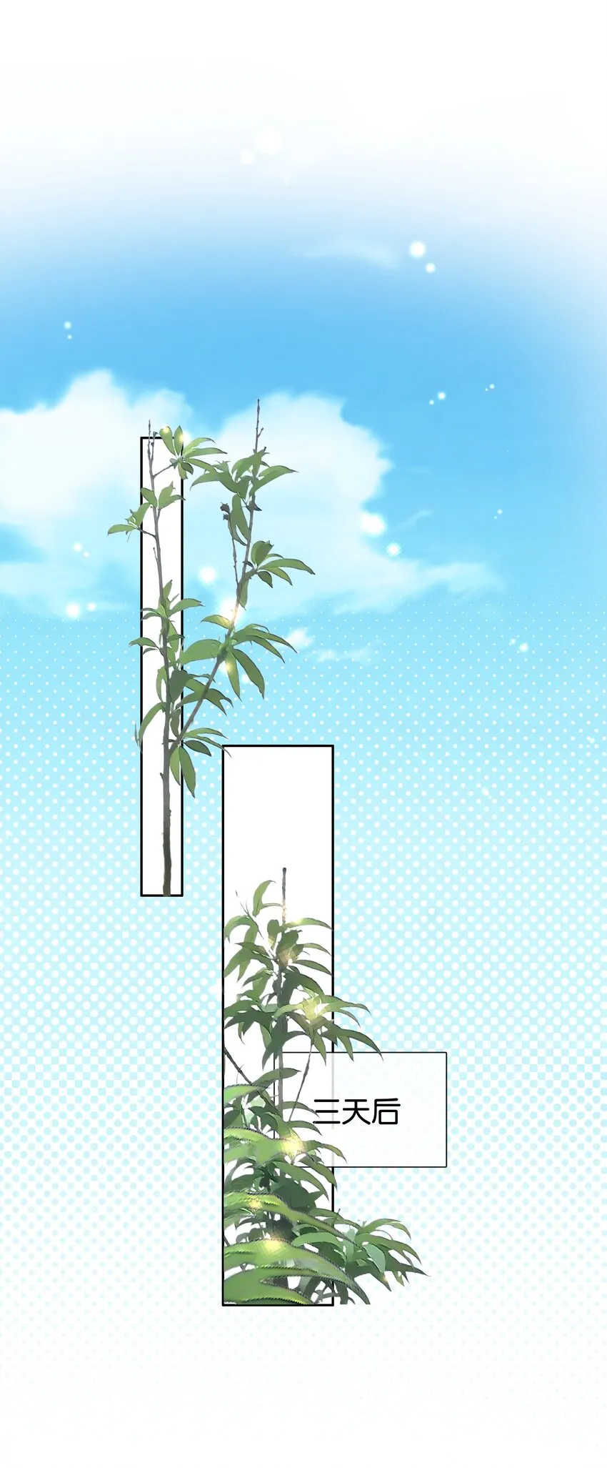 089 我可以养你 第16页