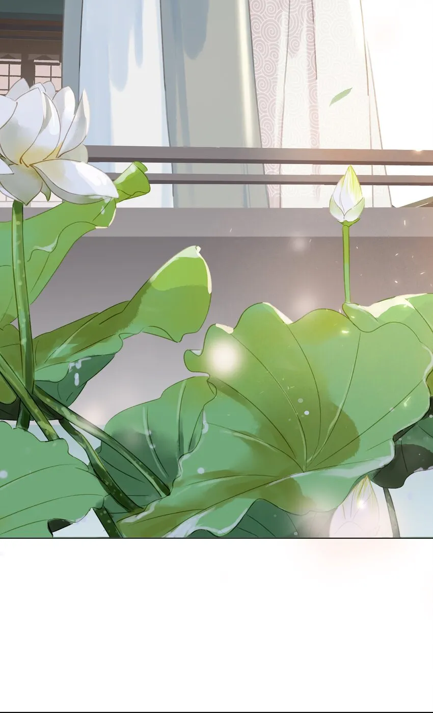 055 你一直很不错 第48页